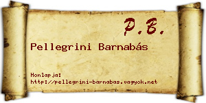 Pellegrini Barnabás névjegykártya