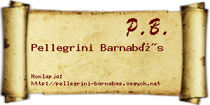 Pellegrini Barnabás névjegykártya