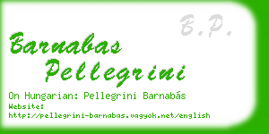 barnabas pellegrini business card