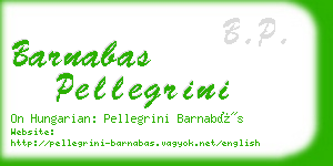 barnabas pellegrini business card